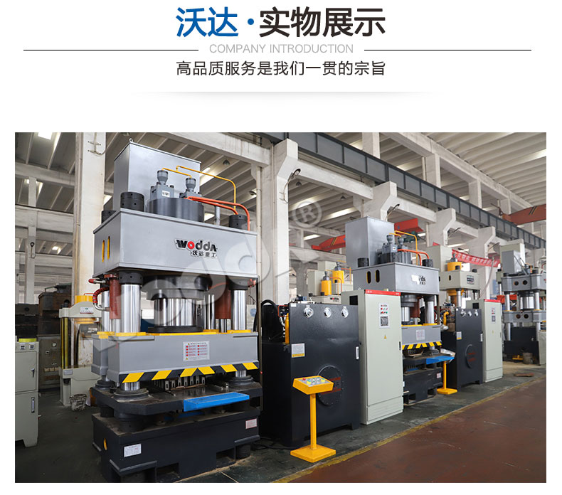 魚餌壓塊成型液壓機 魚餌壓塊成型液壓機