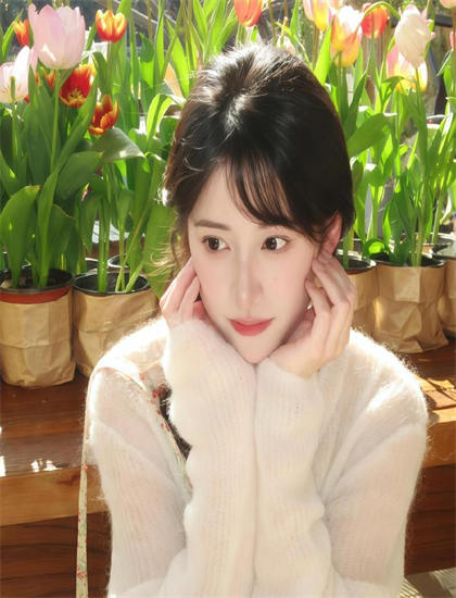 《违章的“代价”》衍生内容观看指南开创性的：相关作品推荐与关联